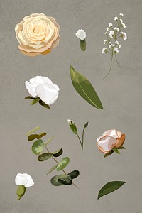 Blooming flowers design resource set illustration