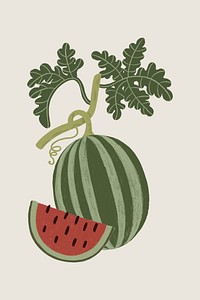 Hand drawn watermelon design resource vector