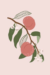 Hand drawn peach design resource vector