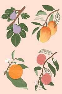 Hand drawn fruits design resource pack mockup