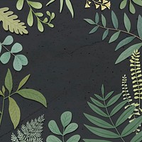 Botanical frame on a black background vector
