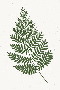 Fern branch design element vector