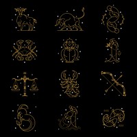 Gold zodiac sign set on a black background vector