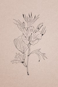 Hand drawn Lilac hibiscus flower illustration