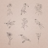 Hand drawn birds and flowers collection illustration