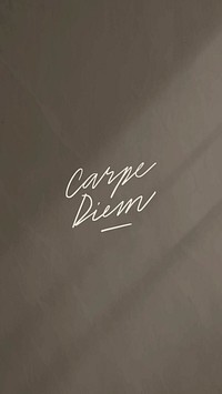 Carpe diem on a black background vector 