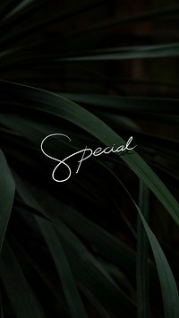 Special text on a leafy background mobile wallpaper