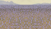Blooming lavender garden background template illustration