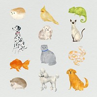 Friendly animals painting collection vector