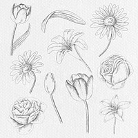 Vintage flower drawing set illustration mockup