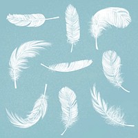 Hand drawn white feather vector element graphic set