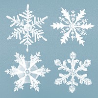 Winter snowflake illustration psd on blue background collection