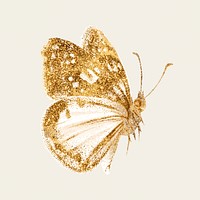 Gold butterfly sparkly diary illustration