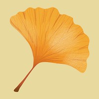 Hand drawn ginkgo element psd autumn leaf