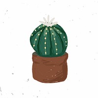 Cute potted plant element vector Astrophytum asterias in hand drawn style