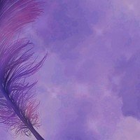 Realistic feather psd on purple border background