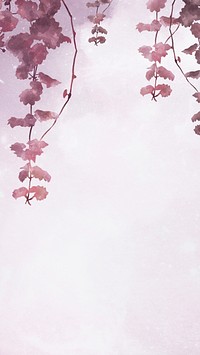 Aesthetic leaves on pink background