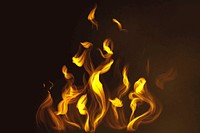 Fire flame element vector in black background