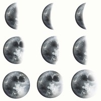 Realistic moon element vector set