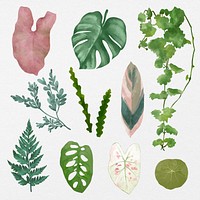 Plant leaf element vector set