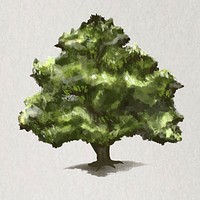Tree element vector Oak tree