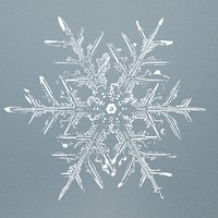 Realistic snowflakes element psd in blue background 