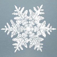Realistic snowflakes element vector in blue background 
