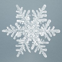 Realistic snowflakes in blue background 