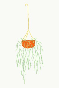 Hanging plant houseplant doodle graphic