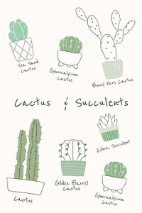Cactus and succulent psd houseplants in hand drawn doodle style