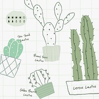 Cactus plant watering chart template vector 
