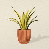 Houseplant psd image, snake plant potted home interior decoration