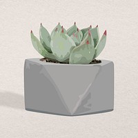 Houseplant psd image, succulent potted home interior decoration