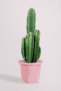 Houseplant psd image, cactus potted home interior decoration