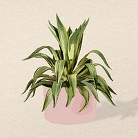 Plant psd image, Agave potted home interior decoration