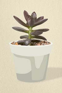 Houseplant psd image, succulent potted home interior decoration