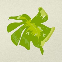 Leaf image psd, green Monstera plant