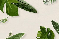 Green leaf frame vector exotic border, banana leaf