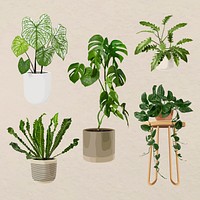 Plant vector art, Houseplant set in flower pots