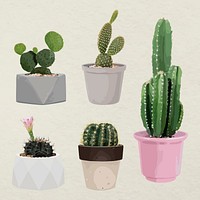 Plant vector art, Houseplant set in flower pots