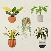 Plant vector art set, houseplant in a flower pot