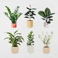 Potted plant psd home decoration set