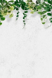 Leaf background wallpaper vector, green indoor plant