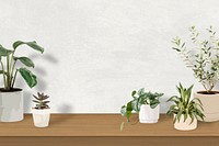 Indoor plant background tropical vector with blank wall