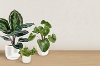 Indoor plant background tropical vector with blank wall