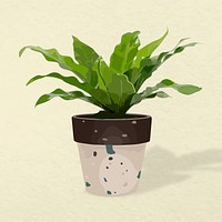 Plant vector image, Bird's-nest fern potted home interior decoration