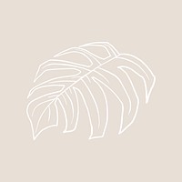 Monstera leaf vector doodle botanical illustration