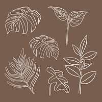 Tropical leaf vector doodle botanical illustration set