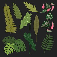 Tropical leaf PSD botanical illustration set