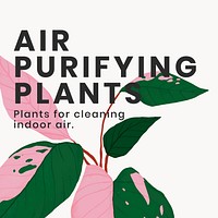 Social media plant template vector with air purifying plants text